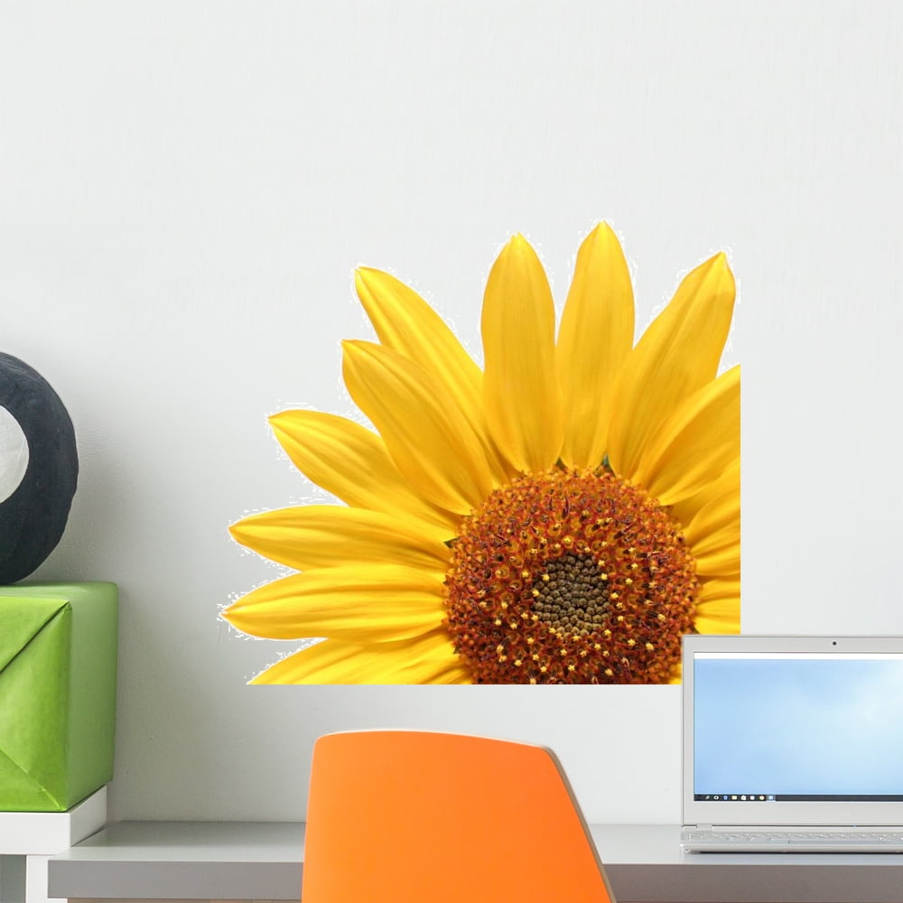 Sunflower over White Wall Decal by Wallmonkeys Peel and Stick Graphic