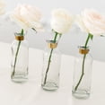 thumbnail image 2 of Weddingstar 4944-55 Glass Round Bottle Flower Vase, 2 of 3