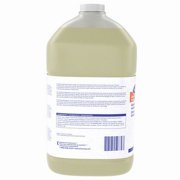 Diversey CLEANERCRPTTASKI4G 9BP92017