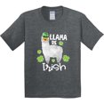 thumbnail image 3 of Inktastic St. Patrick's Day Llama Be Irish with Green Shamrocks Youth T-Shirt, 3 of 5