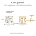 View all media