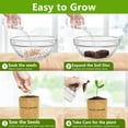 thumbnail image 3 of Bonsai Tree Kit, Bonsai Starter Kit with Seeds & Tools, Tree Live Plants Indoor, Gardening Gifts for Women Men Mom Father Plant Lover, Birthday Thanksgiving, 3 of 12
