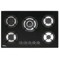 thumbnail image 1 of Parrilla Empotrable a Gas Disa Home 5 Quemadores Encendido Electrónico Cristal Templado 77 x 51 cm, 1 of 5
