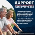 thumbnail image 5 of Ayush Herbs Rentone Kidney Support Supplement with Magnesium and Cranberry, 90 Capsules, 5 of 7