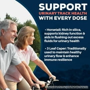 Ayush Herbs Rentone Kidney Support Supplement with Magnesium and Cranberry, 90 Capsules