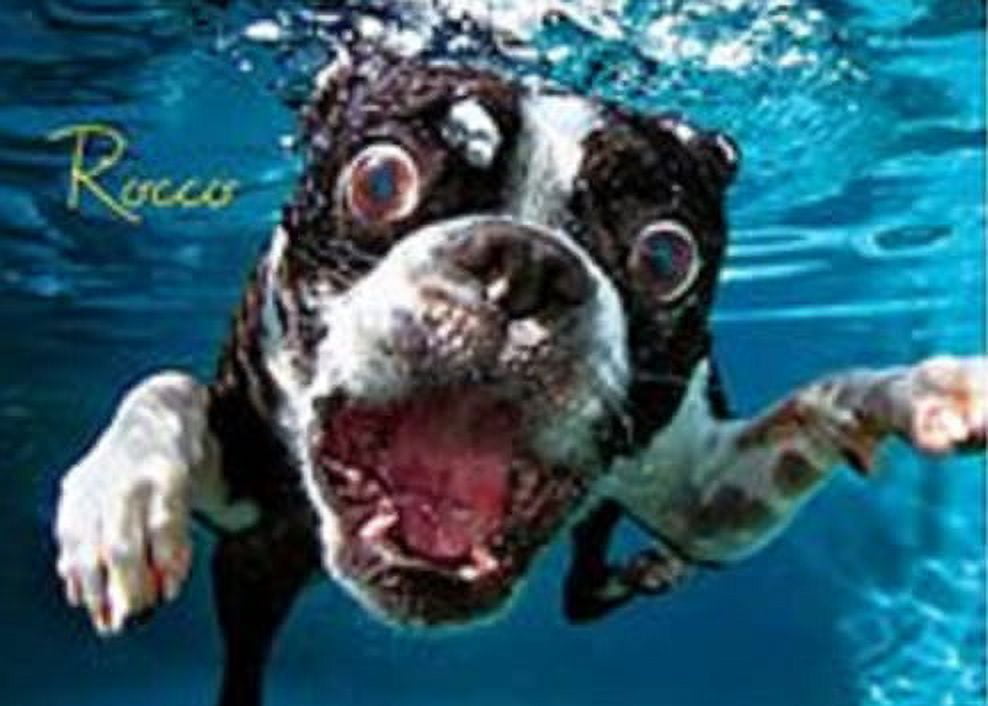 Willow Creek Press Underwater Dogs: Pool Pawty 1000-Piece Puzzle