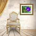 thumbnail image 3 of Bonin, Suzanne 18x15 Gold Ornate Wood Framed with Double Matting Museum Art Print Titled - Purple Morning Glory with bud, 3 of 4