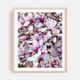 thumbnail image 2 of Magnolia Pareidolia - Kingston New York Photography Floral Flowers Botanical Nature Garden Pastel Scenic Unframed Wall Art Print 30 x 40 inches, 2 of 13