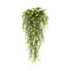 thumbnail image 2 of Decoración de flores artificiales Gardenne, flores de plástico resistentes a los rayos UV, 1/2 pieza, enredadera colgante de flores artificiales, resistente a los rayos UV, plantas florales colgantes, 2 of 8