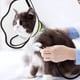 thumbnail image 4 of Collar Isabelino Para Perro, Ajustable, Evita Lamer, Morder, Visibilidad Clara, Collar De Cono Para Mascotas Para Poscirugía, 4 of 8
