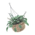 thumbnail image 2 of 2 Piezas 1:12 Plantas de Casa de Muñecas en Miniatura Planta de Bonsái en Miniatura Casa de Muñecas Árbol de Navidad Mini Casa de Muñecas en Maceta Modelo de Maceta Colgante 2.5*6.5cm Verde, 2 of 5