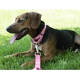thumbnail image 3 of HSHDLDF Pink Martingale Heavy Duty Nylon Dog Collar 21 Vibrant Color Options (1 Inch Width, Large), 3 of 7