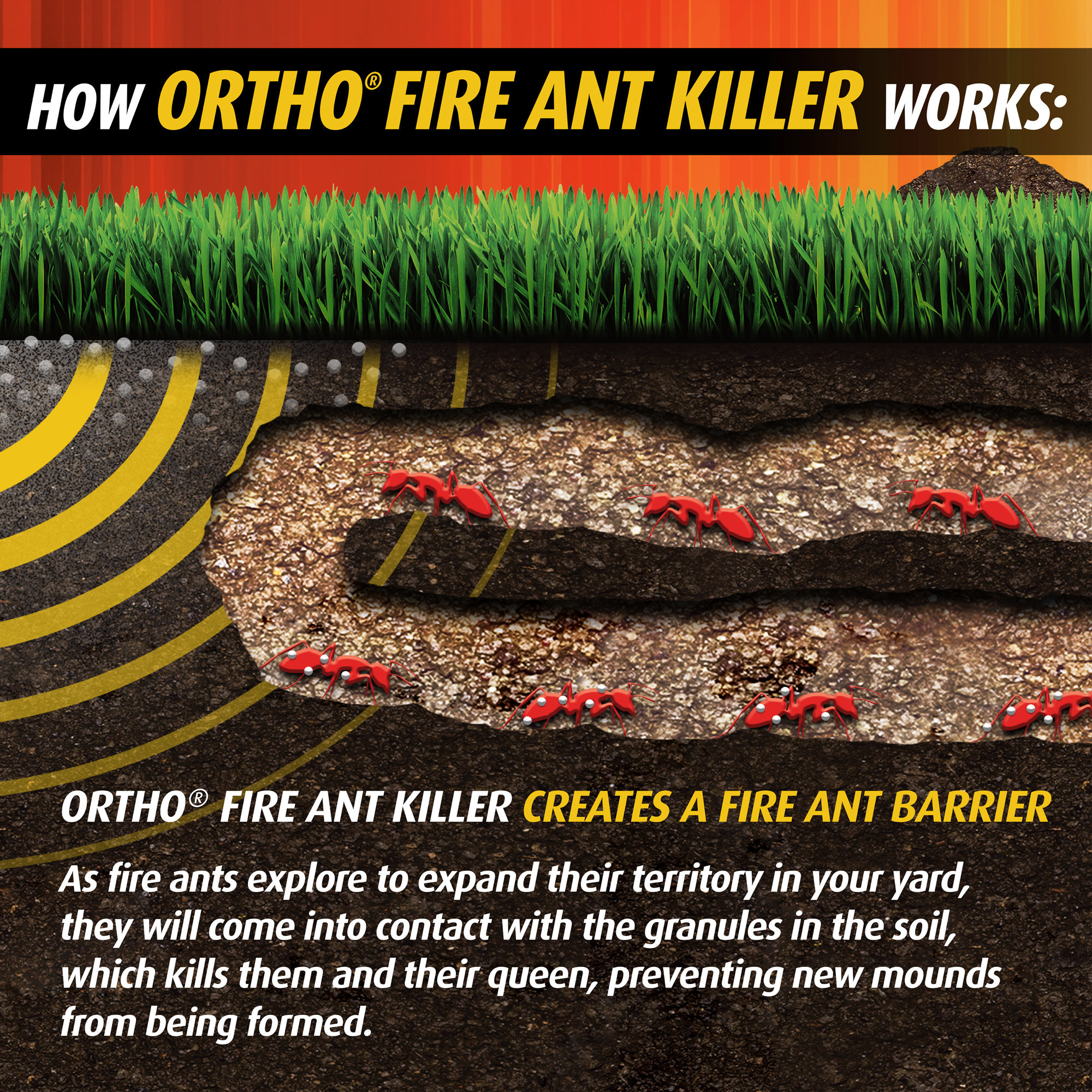 Ortho Fire Ant Killer Broadcast Granules, 11.5 lb. photo 7