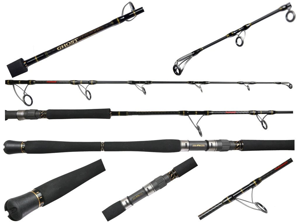 Daiwa SLS1202MHFS Sealine Surf Spinning Rod Fishing Rod - Walmart.com