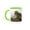 Green/White, variant on 3drose, Japan, Honshu, Kyoto, Japanese Macaque Monkey-as15 Jme0155 - John and Lisa Merrill, 11oz Mug