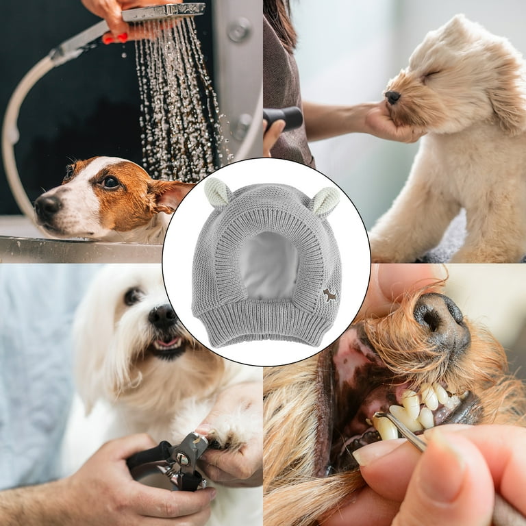 Dog headband hotsell for dogs