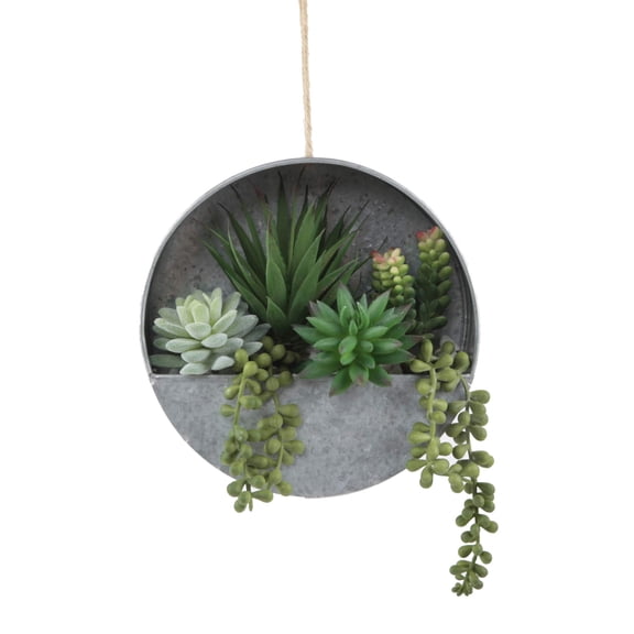 Succulent Mix in 8" Hanging Galvanized Silver Tin Wall Planter