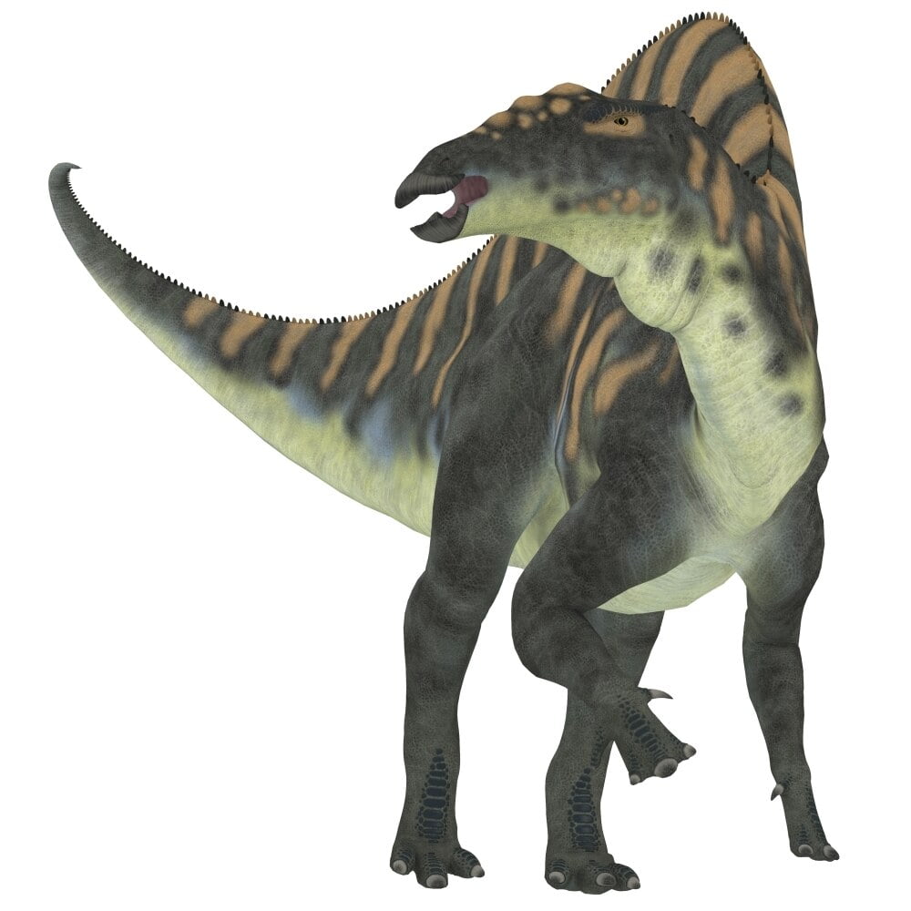 herbivorous dinosaur with long neck and tail