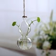 thumbnail image 4 of Home Garden Clear Glass Flower Hanging Vase Planter Terrarium Container, 4 of 5