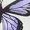 Purple, variant on IMENGL Women's Pajamas Set Loungewear with Butterfly Print Strappy and Short Pants Onesises Sleepwear Pajama Sets for Women,Blue