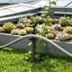 thumbnail image 5 of Garden Decoration Simulation With Water Pipe Insertion, 5 of 6