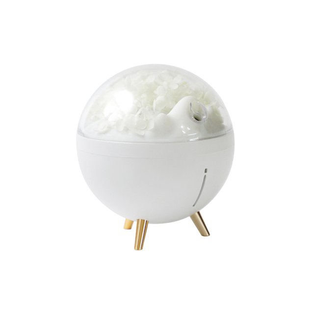 Vwrxbz Portable Humidifier Space Flower Design Mini Cool Mist Air Humidifier with Night Light 260ml USB Small for Desk