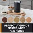 KRUPS F203 Electric Spice and Coffee Grinder with Stainless Steel