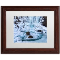 Trademark Fine Art "Frosty Falls" Canvas Art by Michael Blanchette Photography White Matte, Wood Frame
