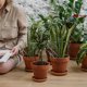 thumbnail image 2 of Perlita para plantas, cuidado interior de la casa, soporte para trepar, soportes altos, soporte para marco, 2 of 6