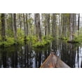 thumbnail image 2 of Paulson, Don 14x11 Gold Ornate Wood Framed with Double Matting Museum Art Print Titled - South Carolina Boat bow in cypress swamp, 2 of 4