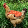 thumbnail image 3 of ZLight Mother Hen Protective Clothing Enhanced Durability And Lightweight Safety type+2, 3 of 6