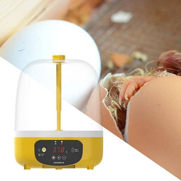 Incubadora Digital Yinane de Huevos Automática Control de Temperatura LED Mini