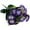 Orange, variant on LHWEN 6 Artificial Petunia Bouquets 14 Tall for Indoor and Outdoor Decoration Garden Porch Patio Wedding Memorial DIY Projects Maintenance Free Purple Petunia Green Leaves