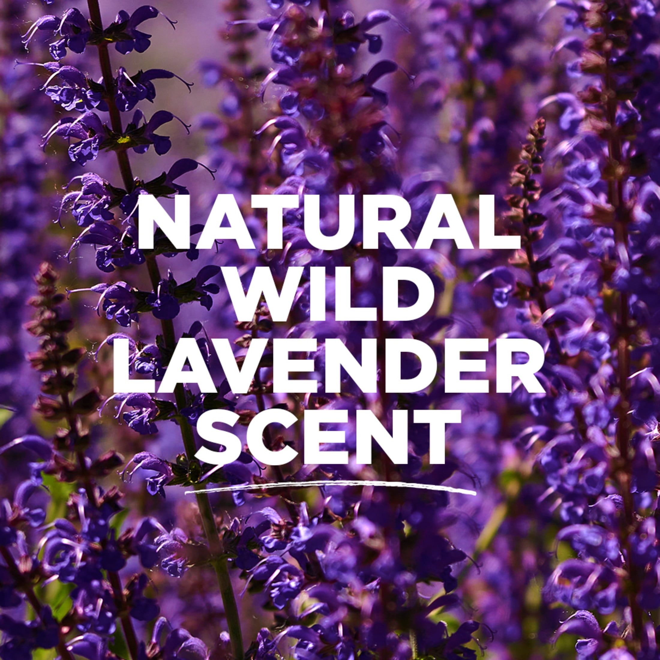 Tom's of Maine Natural Deodorant for Women, Wild Lavender, 2.25 oz