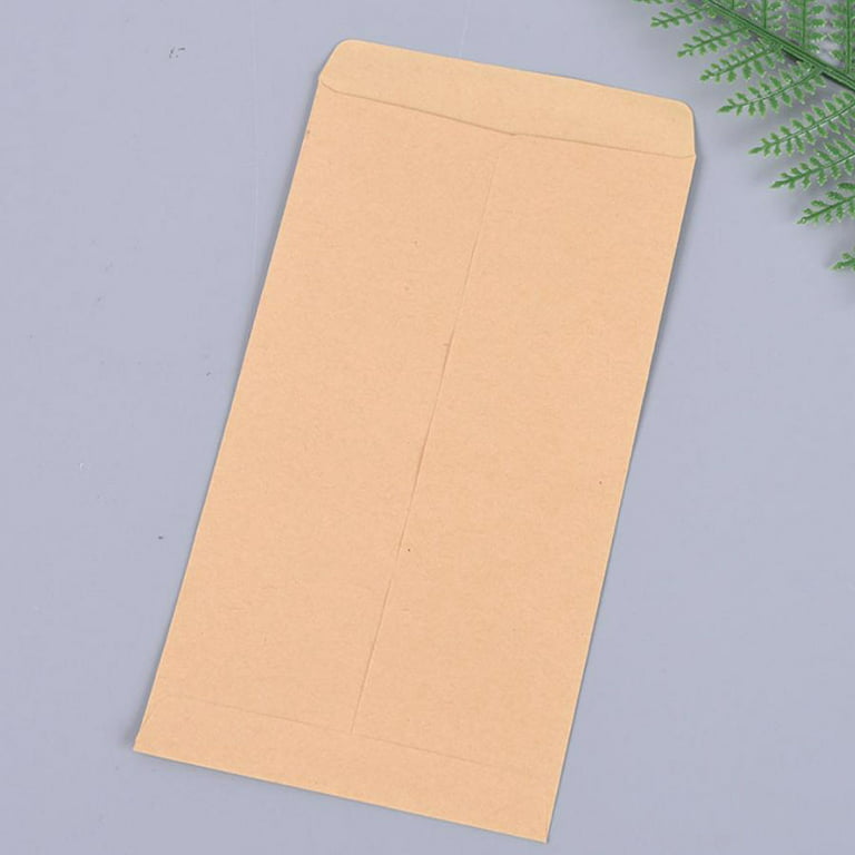  100 Pack Small Coin Envelopes Self-Adhesive Kraft Paper Seed  Envelopes Mini Parts Small Items Stamps Storage Packets Envelopes for  Garden, Office or Wedding Gift(2.25×3.5) (100) : Office Products
