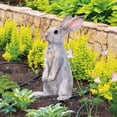 thumbnail image 6 of YWIYIUD 1PCS Easter Garden Decorations EasterBunny 2D AcrylicBunny Decorative GardenStakes Easter Welcome Signs Rabbits Happy Easter Spring Decor for Outdoor Festival Home Party Supplies, 6 of 6