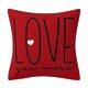 thumbnail image 2 of PYPESEEWY Liquidación Decoración del hogar Sala de estar Funda de almohada roja para el día de San Valentín Funda de almohada para sala de estar Sofá Cojín de dormitorio Fundas de almohada de satén, 2 of 6