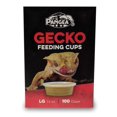 thumbnail image 2 of Vasos de repuesto Pangea Large Gecko Ledge, 100 unidades, 45 ml, 2 of 2
