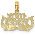 thumbnail image 3 of 14K Yellow Gold 100% PISCES Zodiac Charm - 13.1mm, 3 of 6