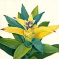 thumbnail image 3 of Meagher, Megan 15x15 Black Modern Framed Museum Art Print Titled - Tropical Bloom II, 3 of 5