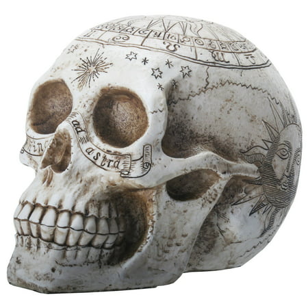 Carved Design Astrology Symbols Human Skull Head Halloween Figurine Decoration
