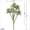 1, variant on New  Artificial Succulent Plants 35cm Long Branch Green Plants Indoor Decoration DIY Potted Large Spray Painted Succulents