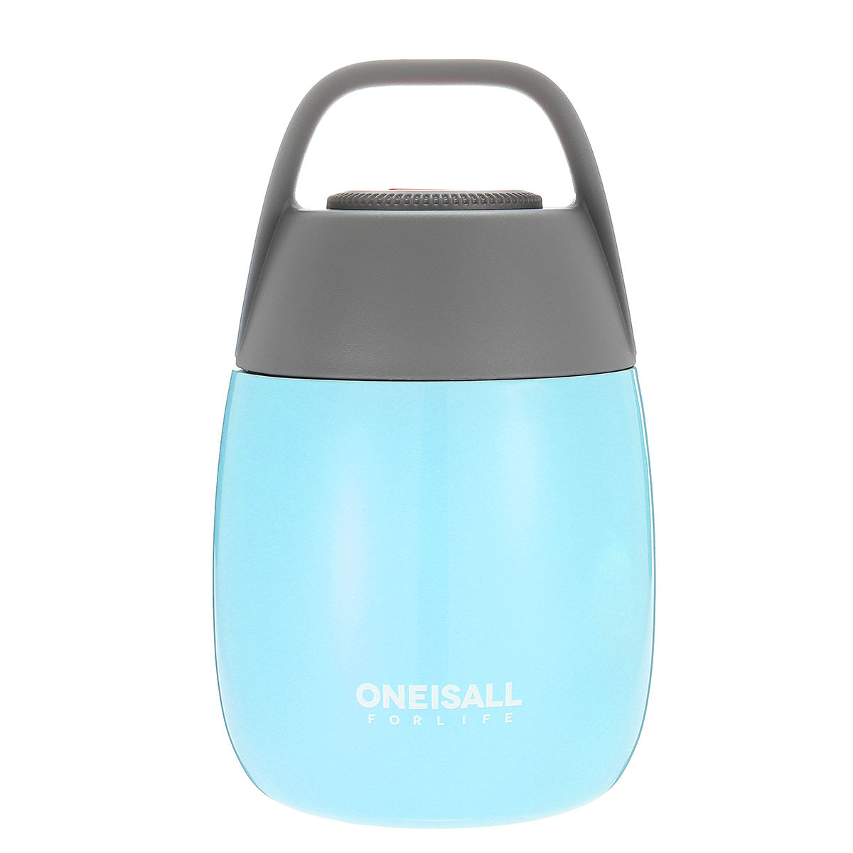 thermos dual compartment food flask