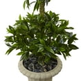 thumbnail image 2 of Nearly Natural 5.5’ Triple Bay Leaf Artificial Topiary in Urn UV Resistant, 2 of 2