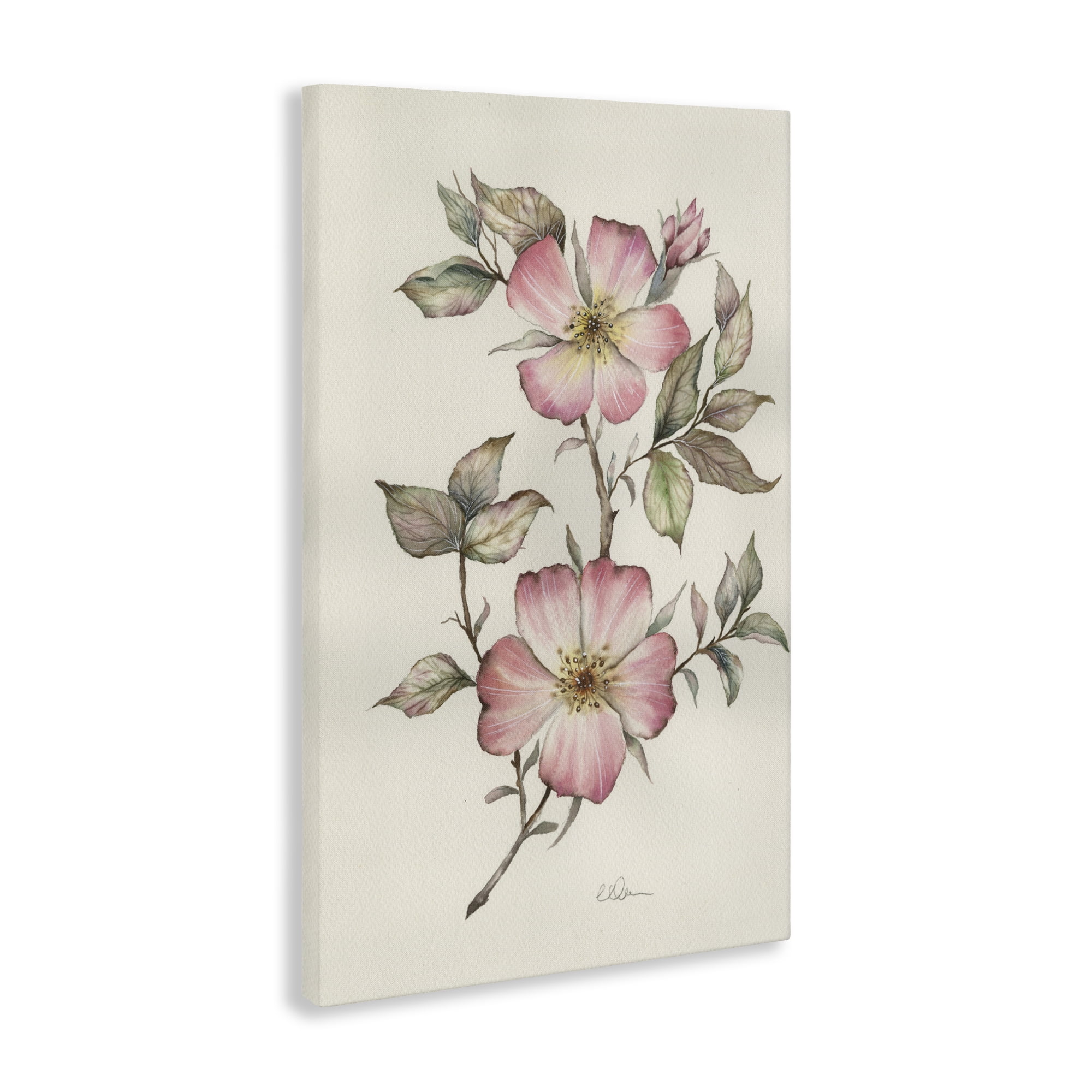 Stupell Industries Two Flowers Natural Study Canvas Wall Art, design by Cady Driver