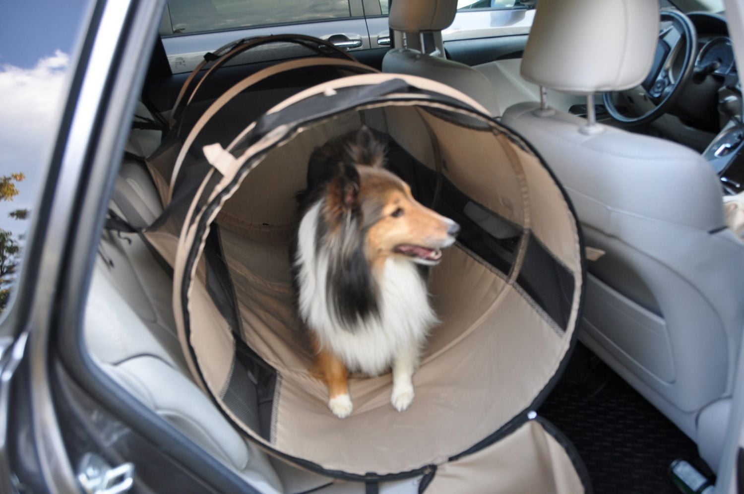 Cage de transport souple Pet Tube de Cool Runners pour animaux de compagnie