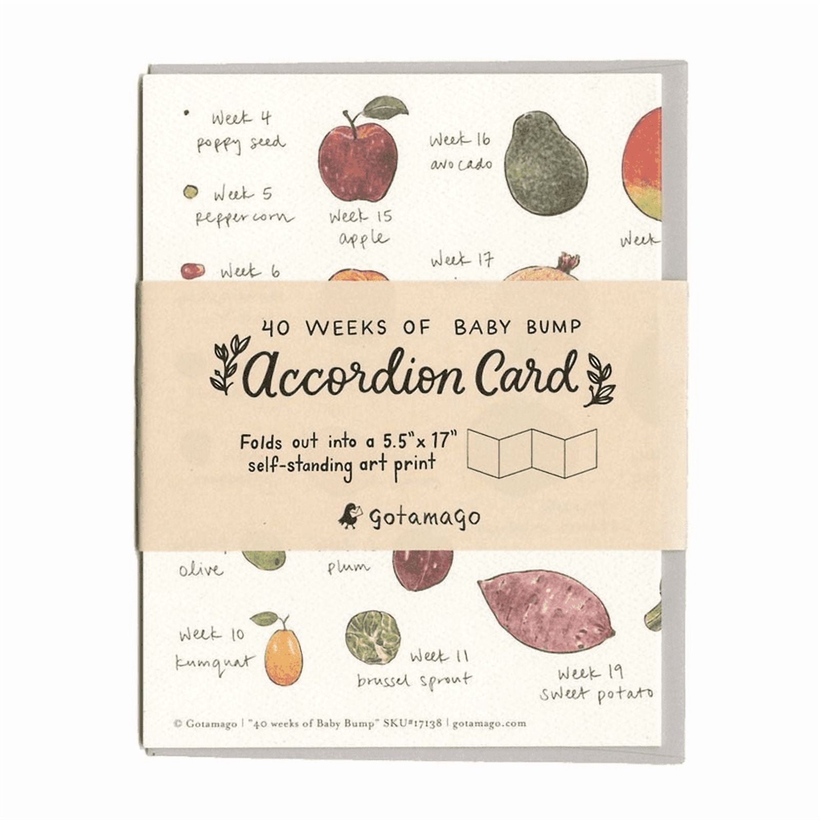 40 Weeks of Baby Bump Accordion Card – Self-Standing Art Print – Folds Out to 5.5” x 17” – Perfect Keepsake for Expecting Mothers and Baby Showers