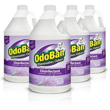 OdoBan Odor Eliminator and Disinfectant Concentrate, Lavender (4 pk.)