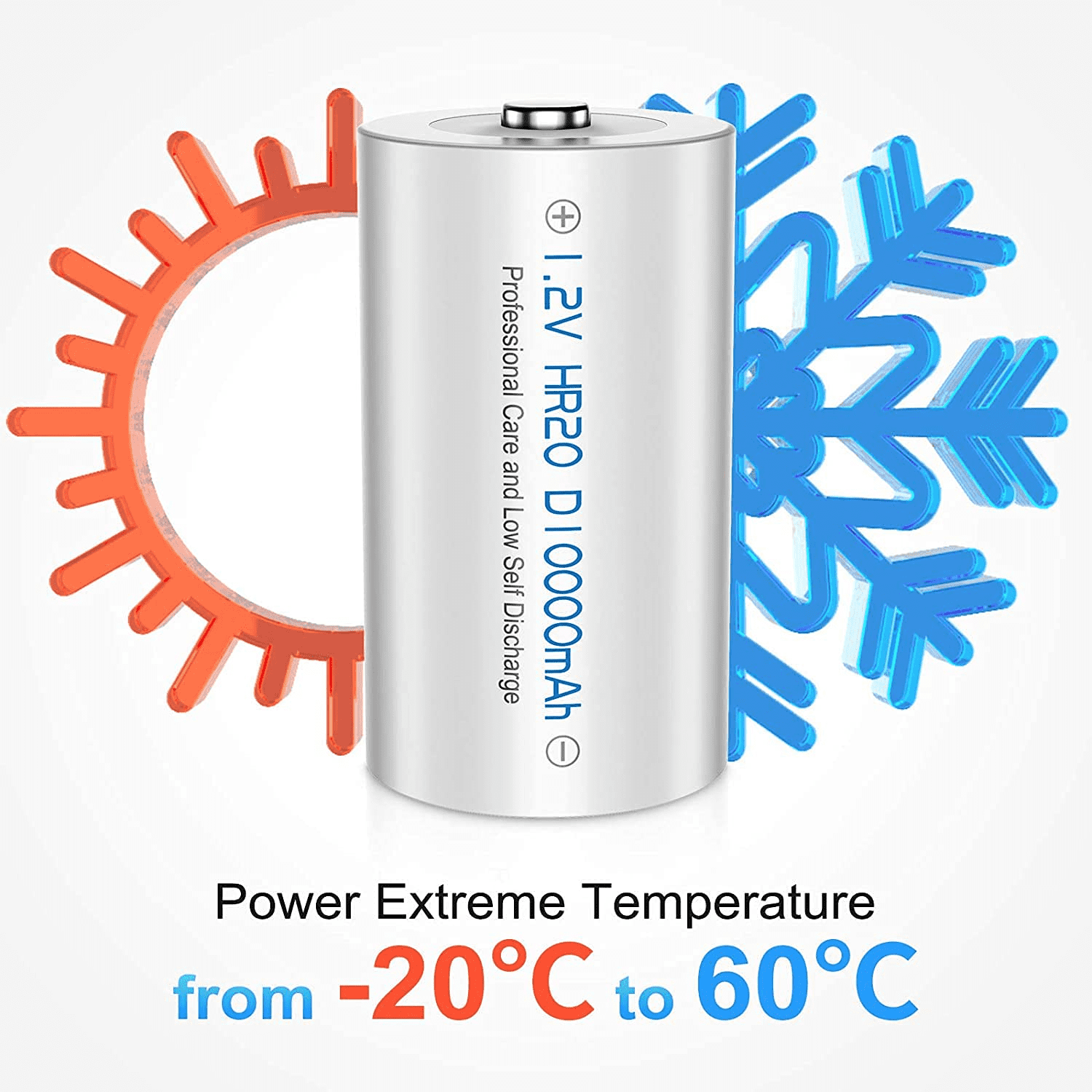 Buy Powerowl Rechargeable D Batteries 4Pack 10000mah NiMH, D Cell