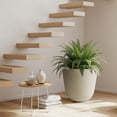 thumbnail image 3 of Maceta redonda grande Worth Garden 17,5 cm x 15,5 cm beige, 3 of 7